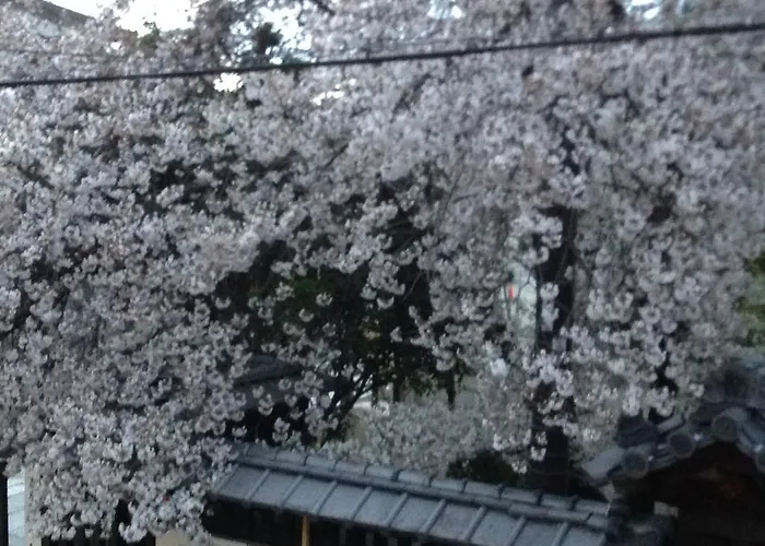 Tateitoan